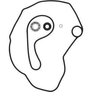 Polaris ACE 500 Water Pump Rebuild Kit - Vertex Pistons - `17-`19